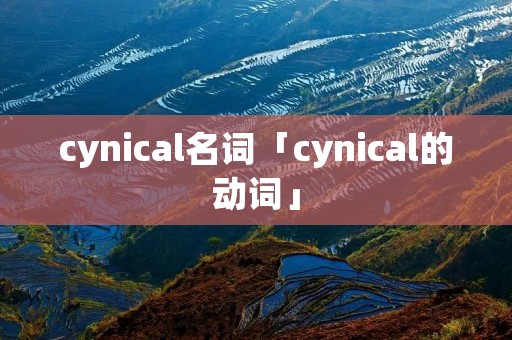 cynical名词「cynical的动词」