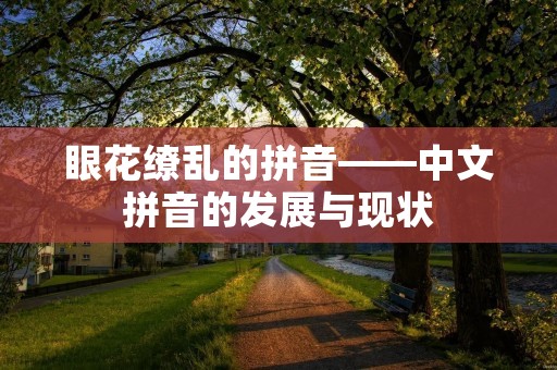 眼花缭乱的拼音——中文拼音的发展与现状