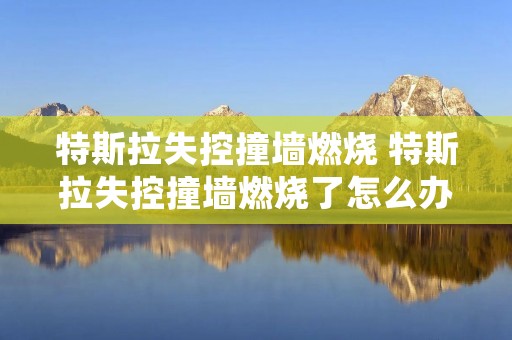特斯拉失控撞墙燃烧 特斯拉失控撞墙燃烧了怎么办