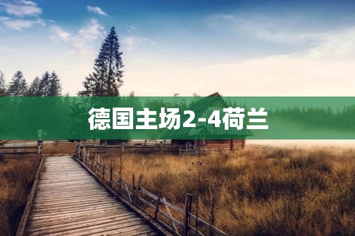 德国主场2-4荷兰:欧洲杯预选赛惊险战 德国主场2-4荷兰:欧洲杯预选赛惊险战