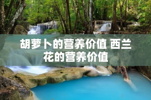 胡萝卜的营养价值 西兰花的营养价值 胡萝卜的营养价值 西兰花的营养价值