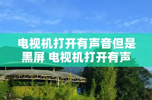 电视机打开有声音但是黑屏 电视机打开有声音但是黑屏怎么办