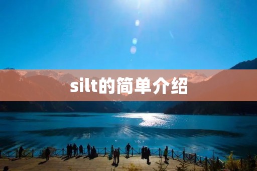 silt的简单介绍