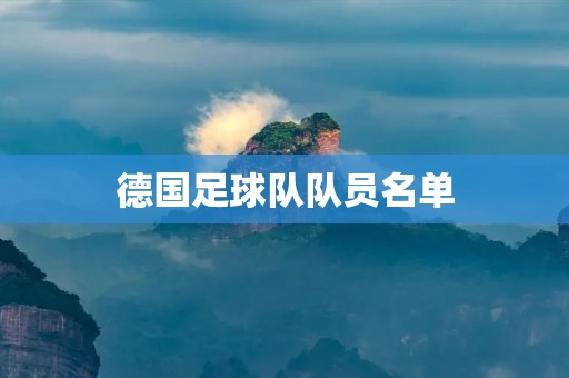 德国足球队队员名单：世界杯之路