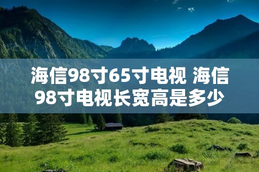 海信98寸65寸电视 海信98寸电视长宽高是多少