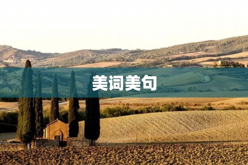 美词美句:如何运用优美的词汇和句子让文章更有魅力