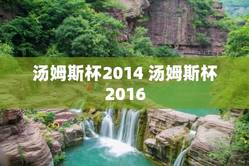 汤姆斯杯2014 汤姆斯杯2016 汤姆斯杯2014 汤姆斯杯2016
