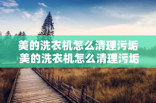 美的洗衣机怎么清理污垢 美的洗衣机怎么清理污垢一般到多少白醋