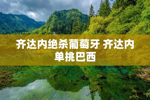 齐达内绝杀葡萄牙 齐达内单挑巴西 齐达内绝杀葡萄牙 齐达内单挑巴西
