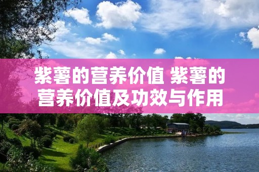 紫薯的营养价值 紫薯的营养价值及功效与作用