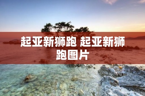 起亚新狮跑 起亚新狮跑图片