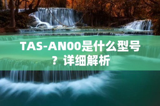 TAS-AN00是什么型号?详细解析