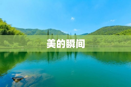 美的瞬间:记录生活中的美好瞬间