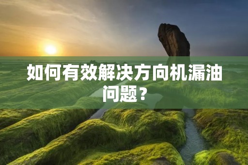 如何有效解决方向机漏油问题? 如何有效解决方向机漏油问题?