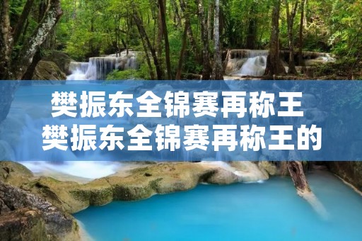 樊振东全锦赛再称王 樊振东全锦赛再称王的感想