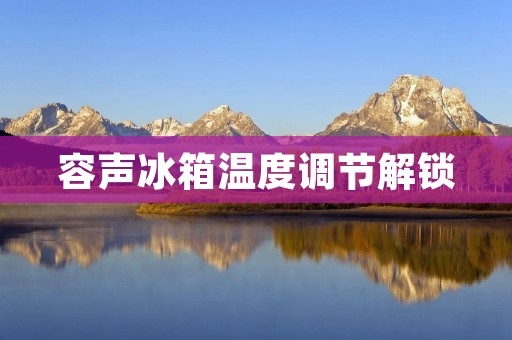 容声冰箱温度调节解锁：详细指南