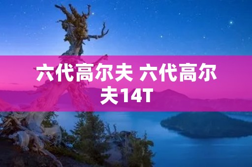 六代高尔夫 六代高尔夫14T