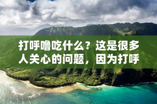 打呼噜吃什么?这是很多人关心的问题,因为打呼噜不仅会影响自己的睡眠质量,还会影响到旁边的人。其实,打呼噜的原因有很多,包括睡姿、饮食、身体状况等。那么,我们可以通过改变饮食习惯来减轻打呼噜的症状。下面,让我们来详细了解一下。