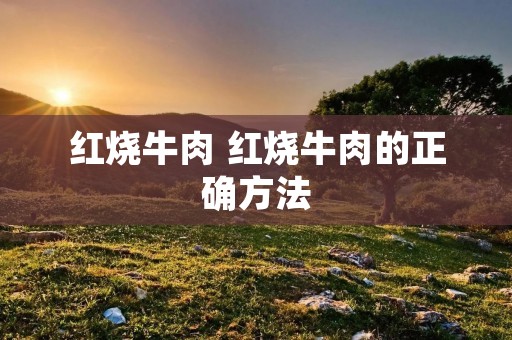 红烧牛肉 红烧牛肉的正确方法