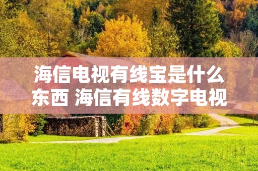 海信电视有线宝是什么东西 海信有线数字电视