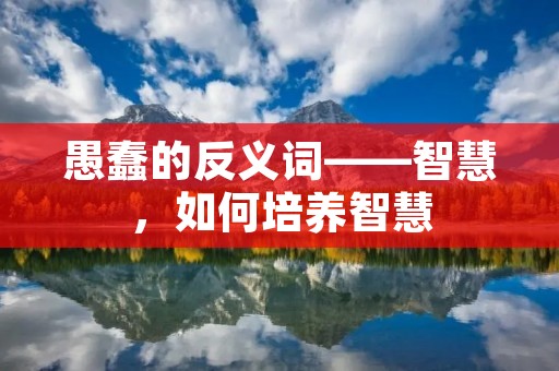 愚蠢的反义词——智慧，如何培养智慧