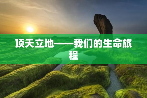 顶天立地——我们的生命旅程