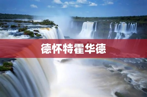 德怀特霍华德：NBA篮球场上的全能战士