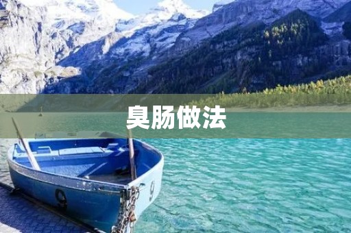 臭肠做法:传统美食的独特风味 臭肠做法:传统美食的独特风味