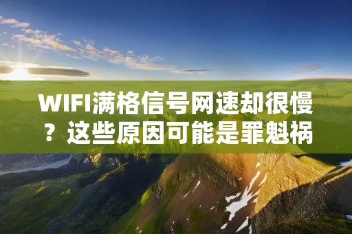 WIFI满格信号网速却很慢?这些原因可能是罪魁祸首!