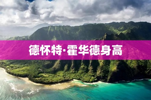 德怀特·霍华德身高：NBA历史上最高的中锋