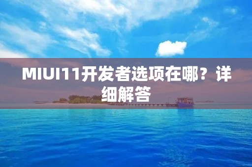 MIUI11开发者选项在哪?详细解答