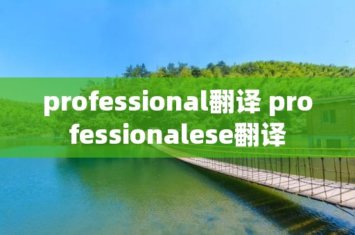 professional翻译 professionalese翻译
