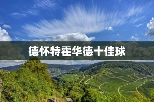 德怀特霍华德十佳球：NBA历史上最具影响力的中锋之一