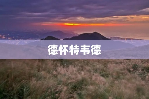 德怀特韦德：NBA传奇的峰回路转