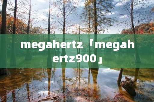 megahertz「megahertz900」