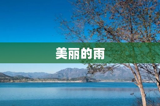 美丽的雨