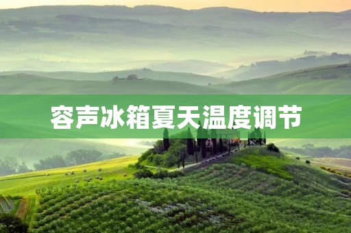 容声冰箱夏天温度调节：保持食物新鲜的最佳选择