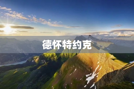 德怀特约克：探索艺术与科技的交融之道