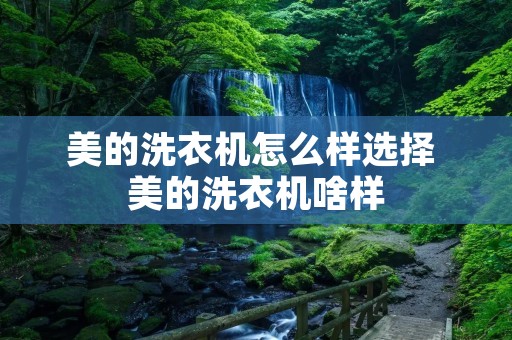 美的洗衣机怎么样选择 美的洗衣机啥样