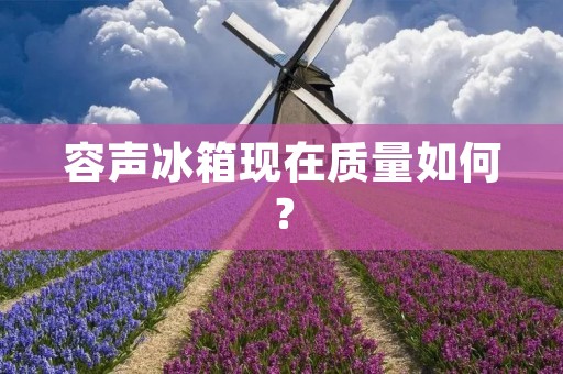 容声冰箱现在质量如何？
