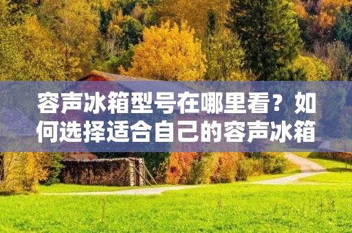 容声冰箱型号在哪里看?如何选择适合自己的容声冰箱型号? 容声冰箱型号在哪里看?如何选择适合自己的容声冰箱型号?