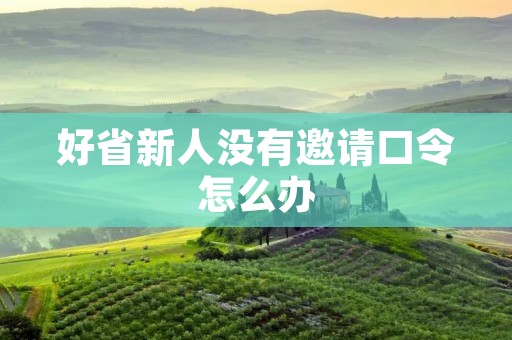 好省新人没有邀请口令怎么办