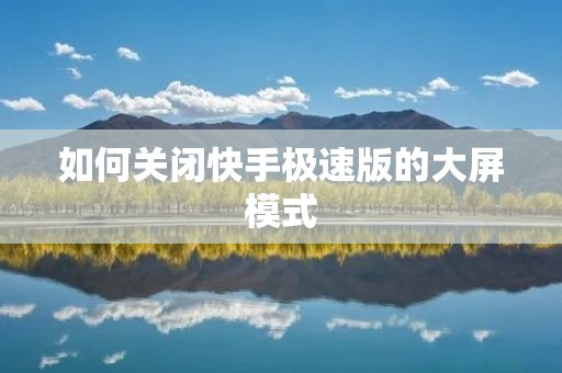 如何关闭快手极速版的大屏模式