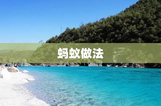蚂蚁做法：小巧智慧的生存之道