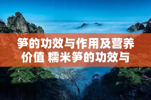 笋的功效与作用及营养价值 糯米笋的功效与作用及营养价值 笋的功效与作用及营养价值 糯米笋的功效与作用及营养价值