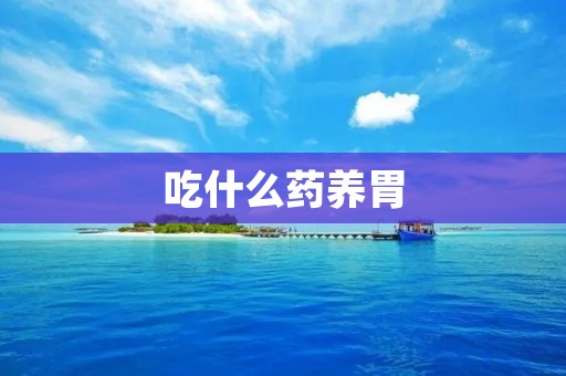 吃什么药养胃：中药调理胃肠功能的有效选择