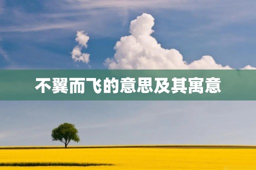 不翼而飞的意思及其寓意
