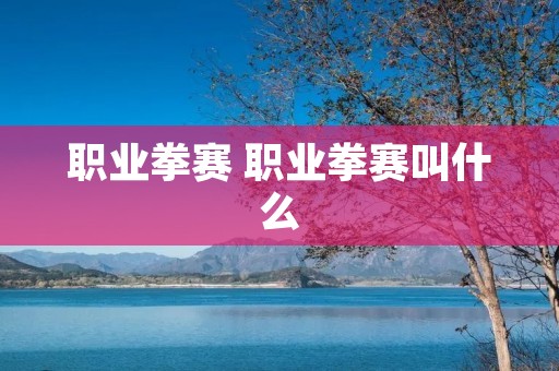 职业拳赛 职业拳赛叫什么