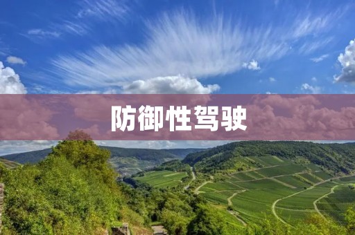 防御性驾驶：保护生命，确保安全的行车之道