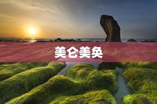 美仑美奂:探寻美的多样表达
